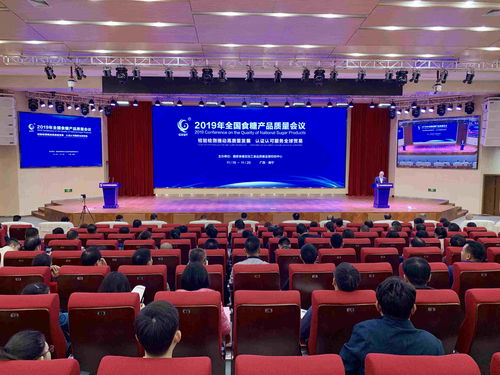 廣西創新一站式國際化服務，助力糖業加速融入全球產業鏈